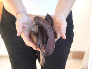 Immagine allegata alla scheda. Per averne una descrizione leggere i dettagli più in basso.